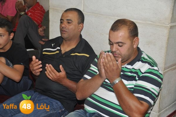 bazsalah lud 712 (18).JPG